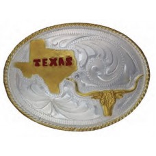 Texas Map with Longhorn