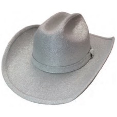 Glittering Silver Hat Glittering Silver Hat
