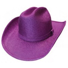 Glittering Purple Hat Glittering Purple Hat