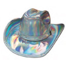 Iridescent Hat Iridescent Hat